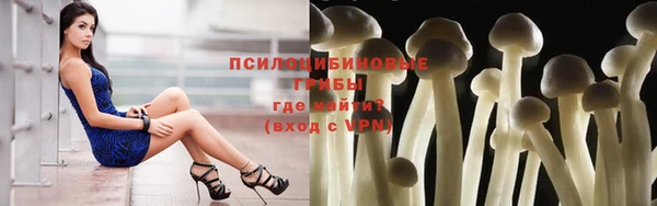 мдпв Михайловка