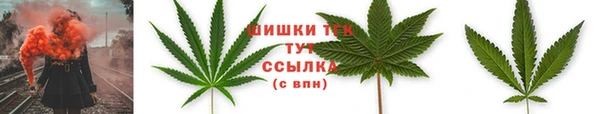 гидра Михайлов