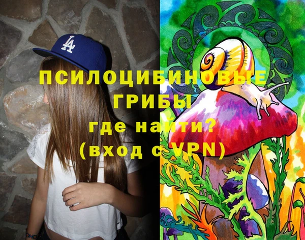 гидра Михайлов