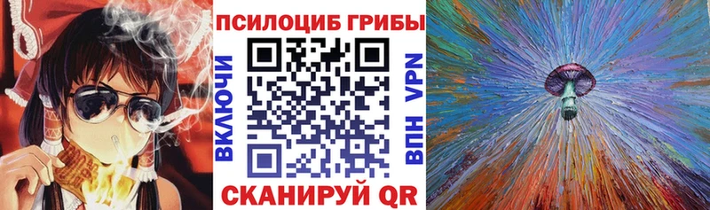 Купить где  Юрюзань  Псилоцибиновые грибы прущие грибы 